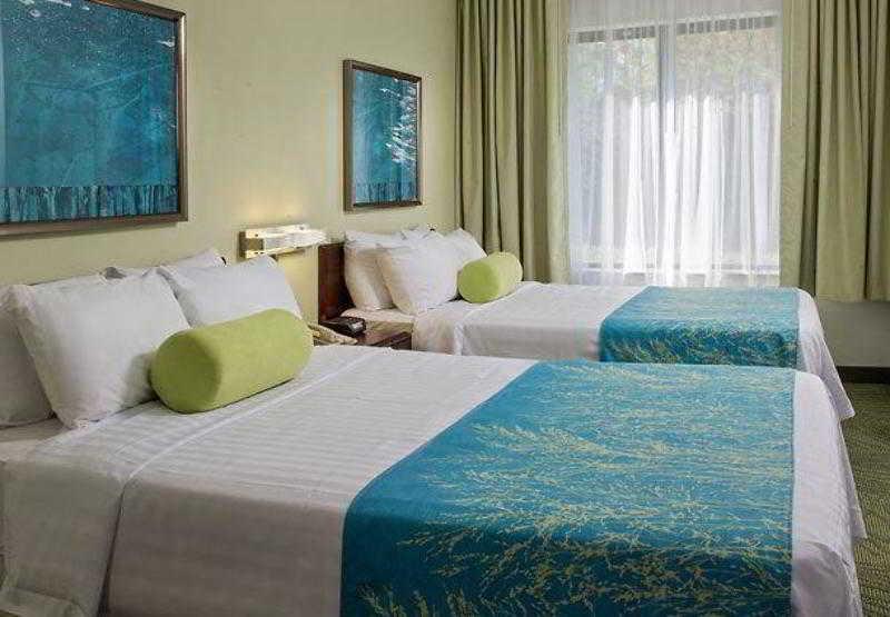 Springhill Suites Charlotte University Research Park Rom bilde